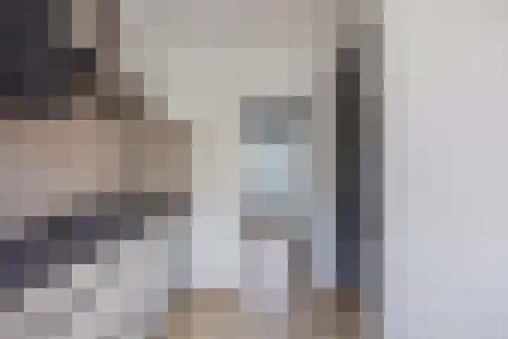 Stekelbrem 43 Rotterdam thumbnail 7