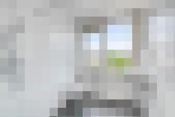 Stekelbrem 45 Rotterdam thumbnail 19