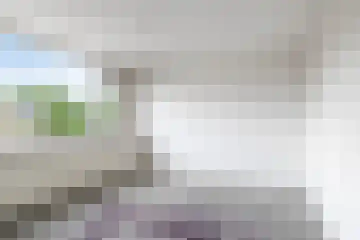 Stekelbrem 45 Rotterdam thumbnail 21