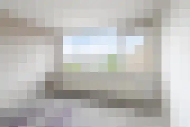 Stekelbrem 45 Rotterdam thumbnail 22