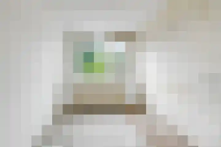 Stekelbrem 45 Rotterdam thumbnail 23