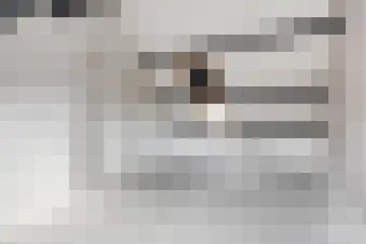 Stekelbrem 45 Rotterdam thumbnail 27