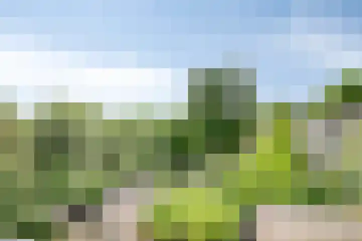 Stekelbrem 45 Rotterdam thumbnail 28