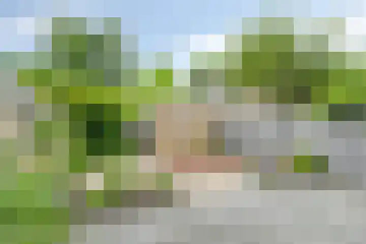 Stekelbrem 45 Rotterdam thumbnail 29