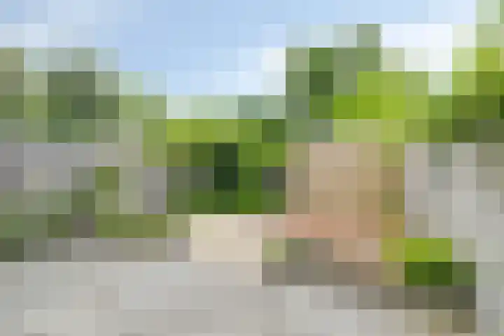 Stekelbrem 45 Rotterdam thumbnail 30