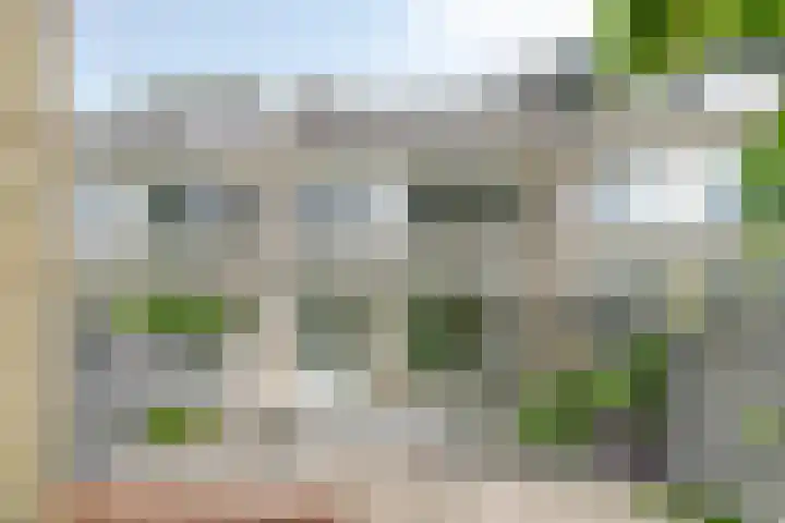 Stekelbrem 45 Rotterdam thumbnail 31