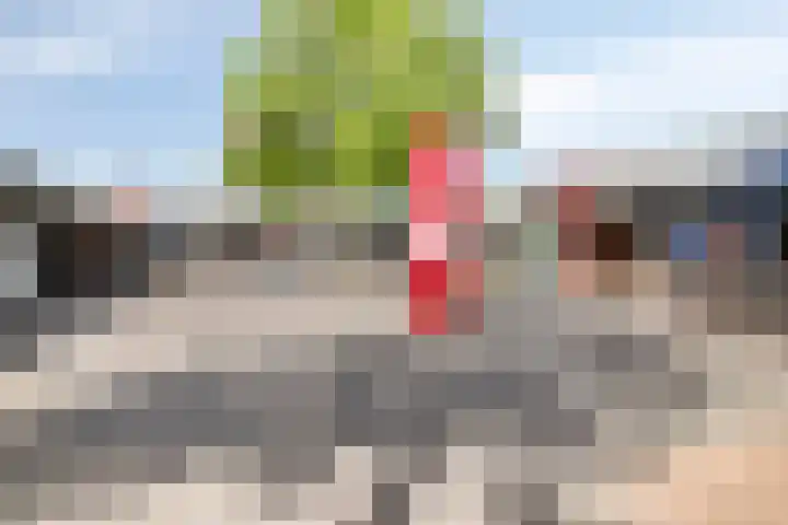 Stekelbrem 45 Rotterdam thumbnail 36
