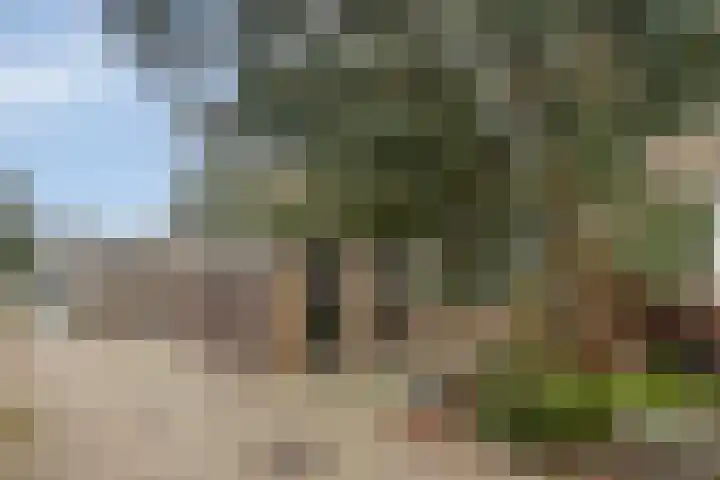 Stekelbrem 8 Rotterdam