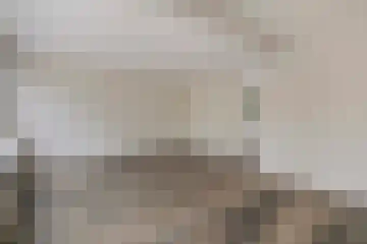 Stekelbrem 8 Rotterdam thumbnail 12