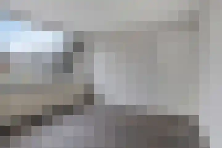 Stekelbrem 8 Rotterdam thumbnail 16