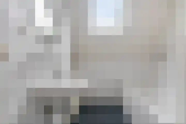 Stekelbrem 8 Rotterdam thumbnail 17