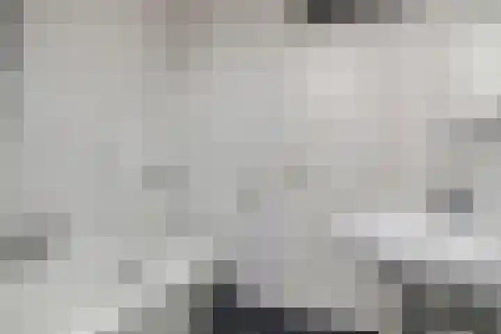Stekelbrem 8 Rotterdam thumbnail 18