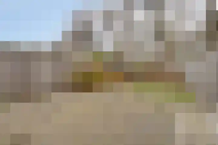 Stekelbrem 8 Rotterdam thumbnail 27