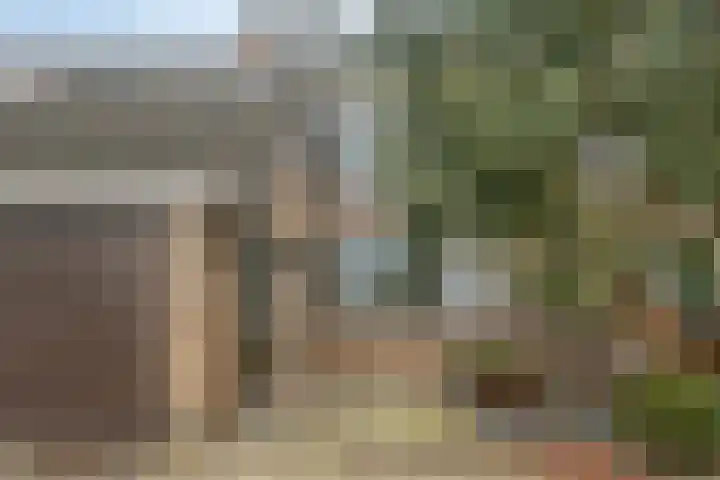 Stekelbrem 8 Rotterdam thumbnail 30