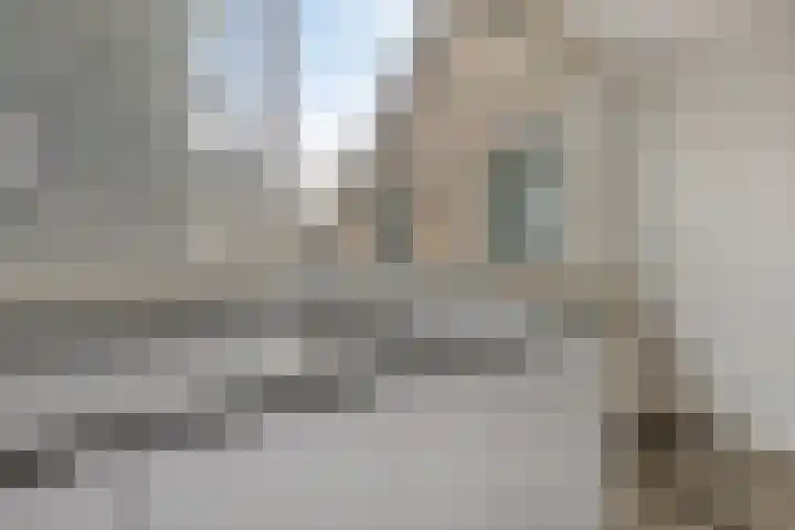 Stekelbrem 8 Rotterdam thumbnail 8