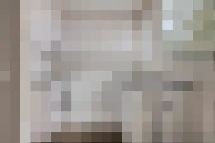 Stekelbrem 8 Rotterdam thumbnail 9