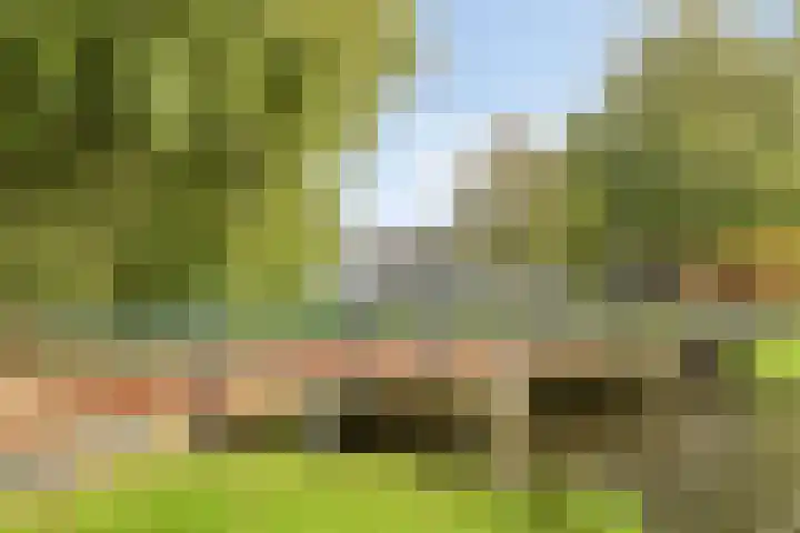 Stekeldijk 77 Purmerend thumbnail 27