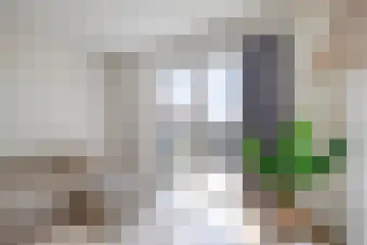 Stekeldijk 87 Purmerend thumbnail 13
