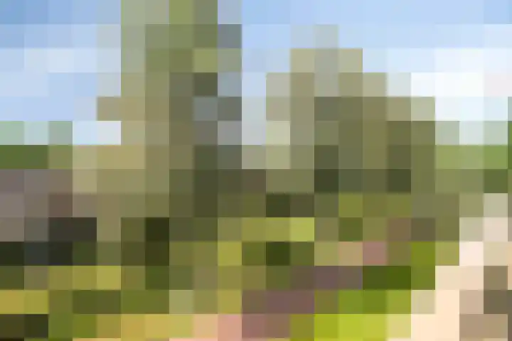 Stekeldijk 87 Purmerend thumbnail 21