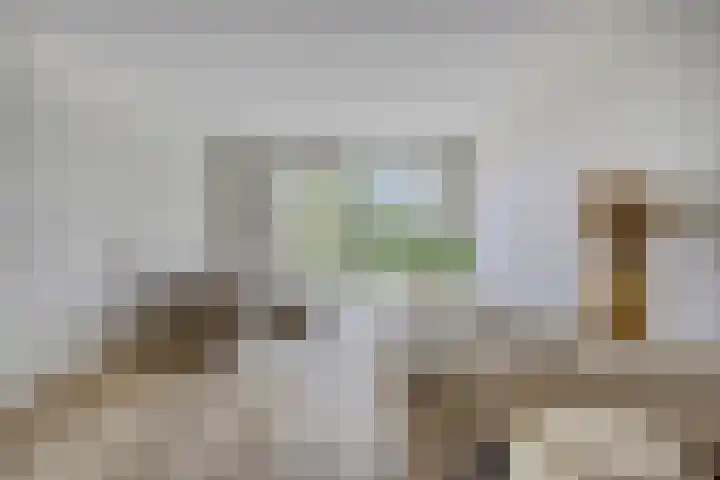 Stekeldijk 98 Purmerend thumbnail 10