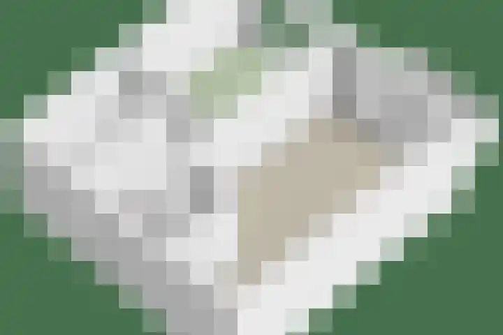 Stekeldijk 98 Purmerend thumbnail 22