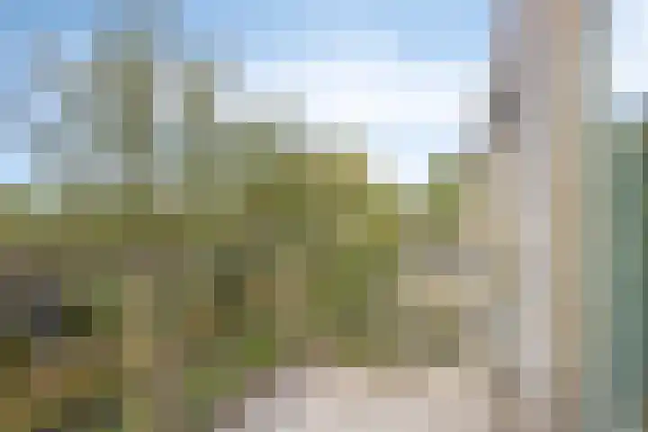 Stekeldijk 98 Purmerend thumbnail 5