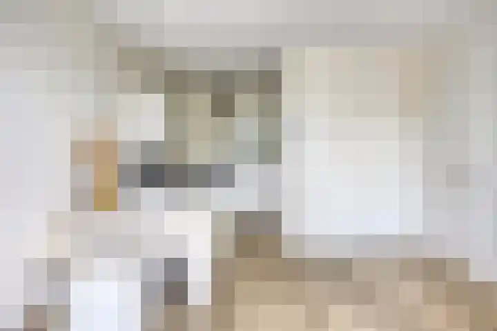 Stekeldijk 98 Purmerend thumbnail 9