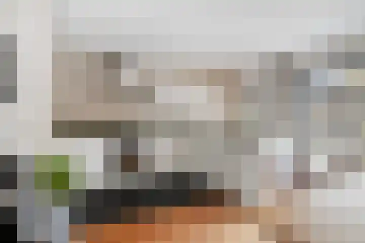 Stekelvaren 14 Bergschenhoek thumbnail 10