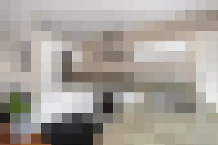 Stekelvaren 14 Bergschenhoek thumbnail 11