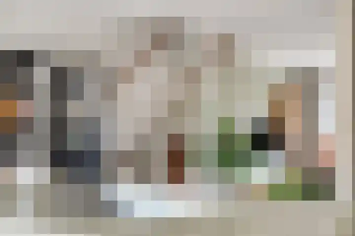 Stekelvaren 14 Bergschenhoek thumbnail 12