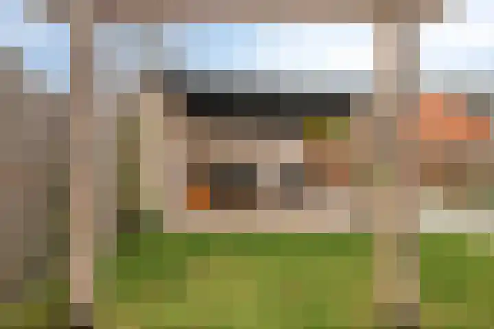 Stekelvaren 14 Bergschenhoek thumbnail 15