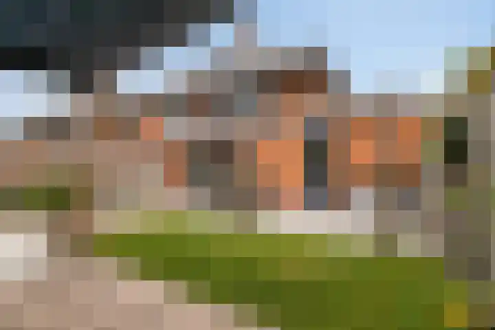 Stekelvaren 14 Bergschenhoek thumbnail 17