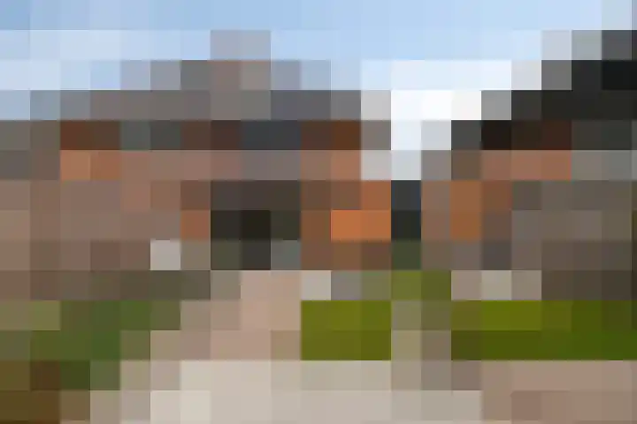 Stekelvaren 14 Bergschenhoek thumbnail 18