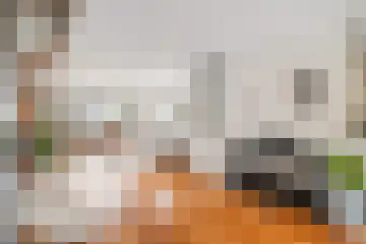 Stekelvaren 14 Bergschenhoek thumbnail 19