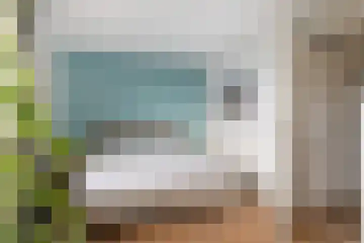 Stekelvaren 14 Bergschenhoek thumbnail 21