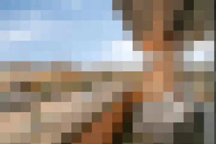 Stekelvaren 14 Bergschenhoek thumbnail 22