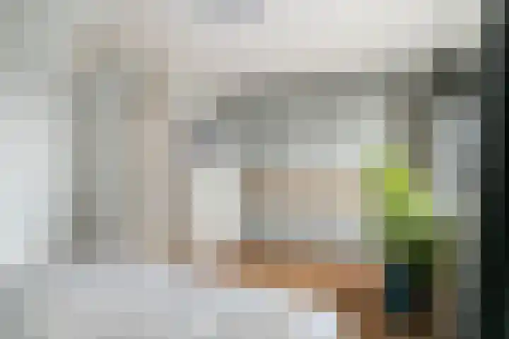 Stekelvaren 14 Bergschenhoek thumbnail 23