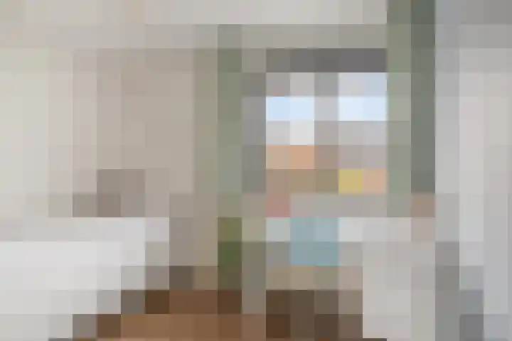 Stekelvaren 14 Bergschenhoek thumbnail 25