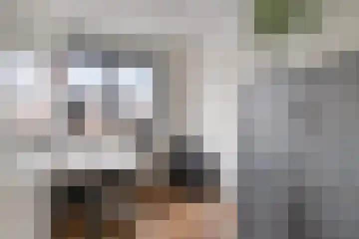 Stekelvaren 14 Bergschenhoek thumbnail 27