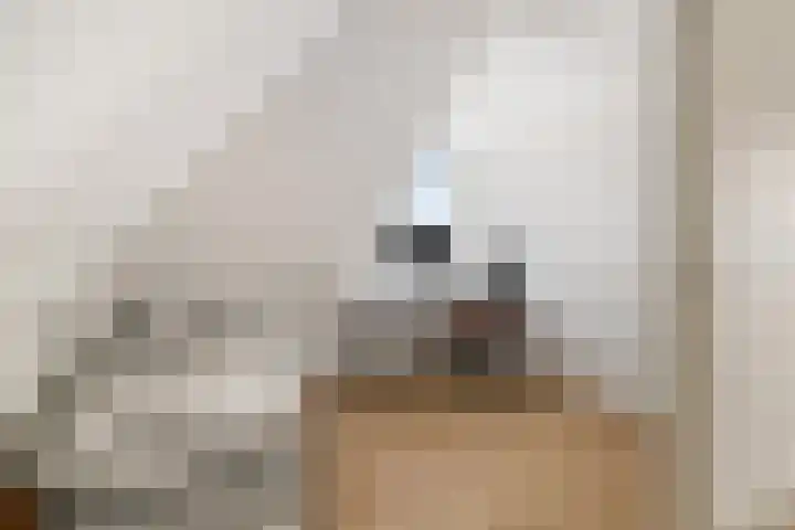 Stekelvaren 14 Bergschenhoek thumbnail 33