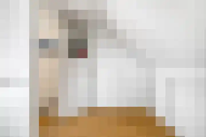 Stekelvaren 14 Bergschenhoek thumbnail 34
