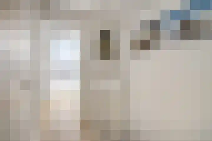 Stekelvaren 14 Bergschenhoek thumbnail 35