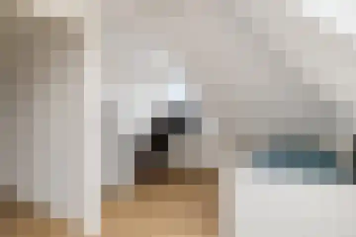 Stekelvaren 14 Bergschenhoek thumbnail 36