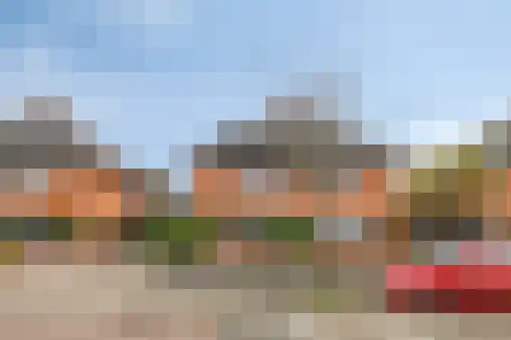 Stekelvaren 14 Bergschenhoek thumbnail 39