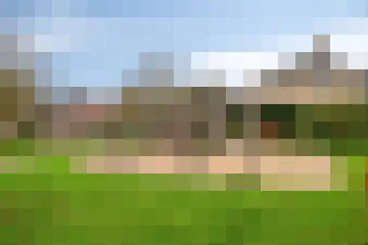 Stekelvaren 14 Bergschenhoek thumbnail 40