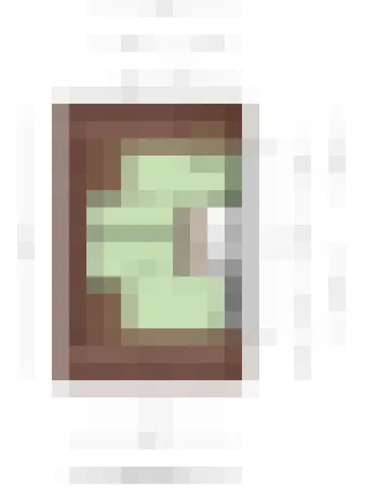 Stekelvaren 14 Bergschenhoek thumbnail 43