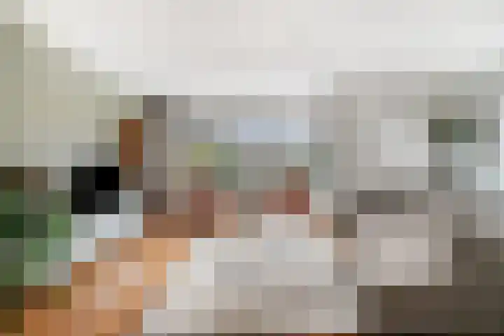 Stekelvaren 14 Bergschenhoek thumbnail 6