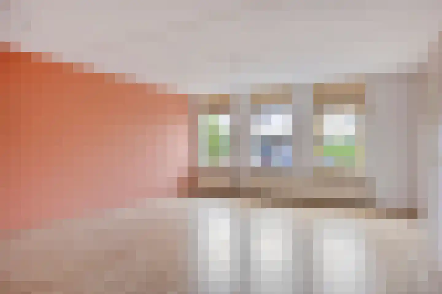 Stekelzegge 15 Duiven thumbnail 11