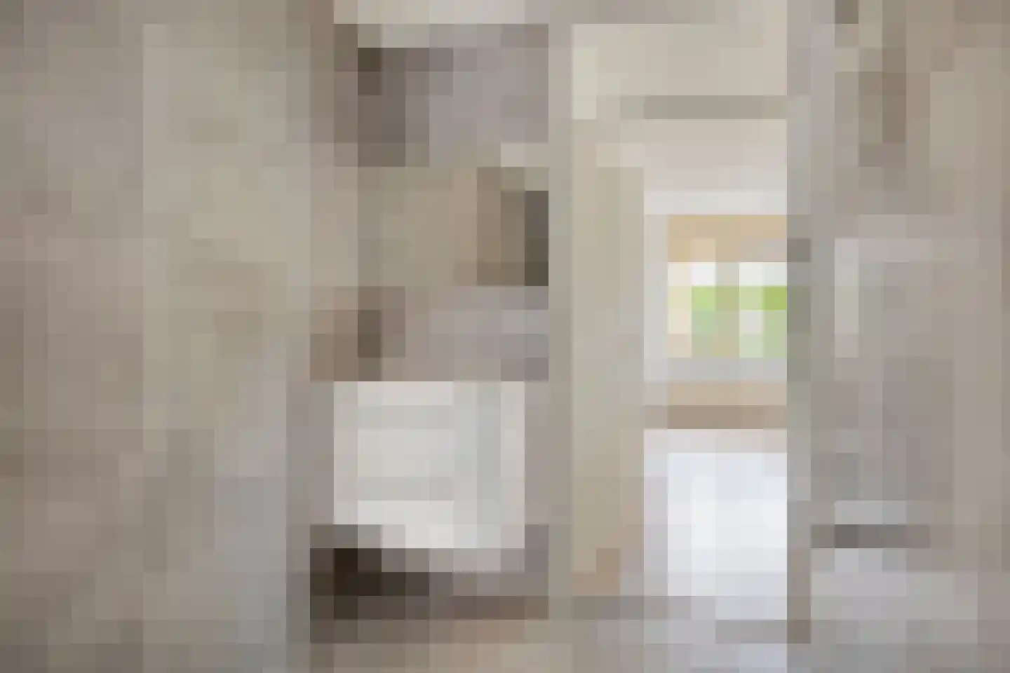 Stekelzegge 15 Duiven thumbnail 17
