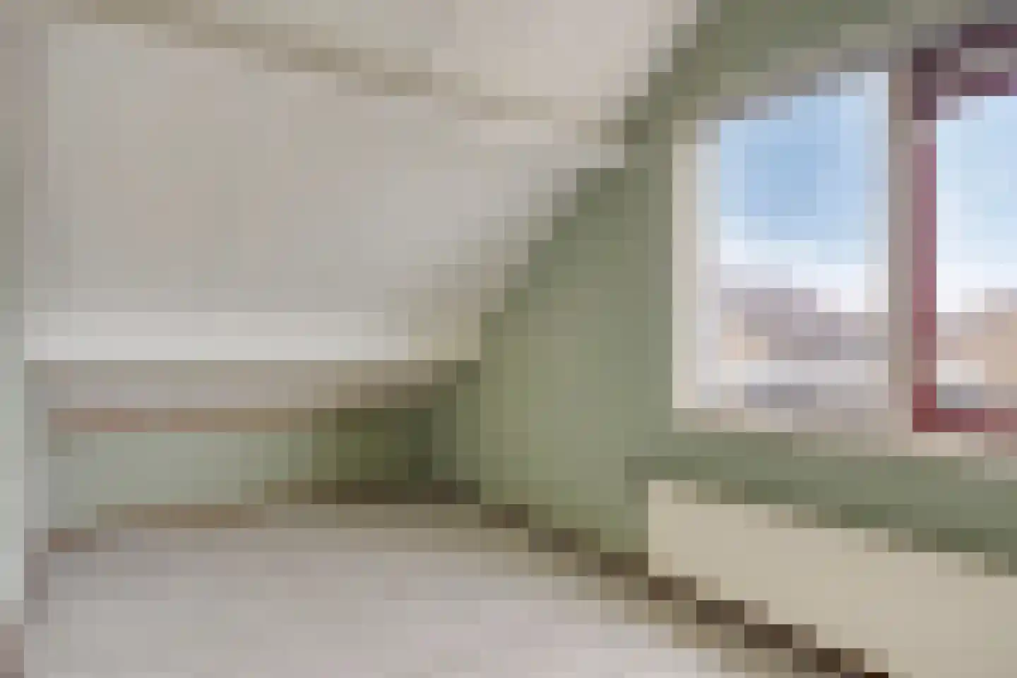 Stekelzegge 15 Duiven thumbnail 22
